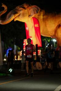 BIB: 
                            <button type="button" onclick="openModal(26533336)" class="btn btn-primary btn-sm float-right btn-popup" data-toggle="modal" data-target=".modal-high-quality">
                        <i class="fas fa-shopping-cart"></i> Add to Cart
                    </button>
                                            <button type="button" onclick="isThisMe(26533336, true)" class="btn btn-success btn-sm float-right btn-popup btn-isme hidden" data-toggle="tooltip" data-placement="bottom" title="นี่คือรูปของคุณใช่ไหม คลิกที่นี่เพื่อเอาเข้าอัลบั้ม">
                        <i class="fas fa-plus"></i> Add to album
                    </button>
                    <button type="button" onclick="isThisMe(26533336, false)" class="btn btn-warning btn-sm float-right btn-popup btn-isnotme hidden">
                        <i class="fas fa-ban"></i> Remove from album
                    </button>